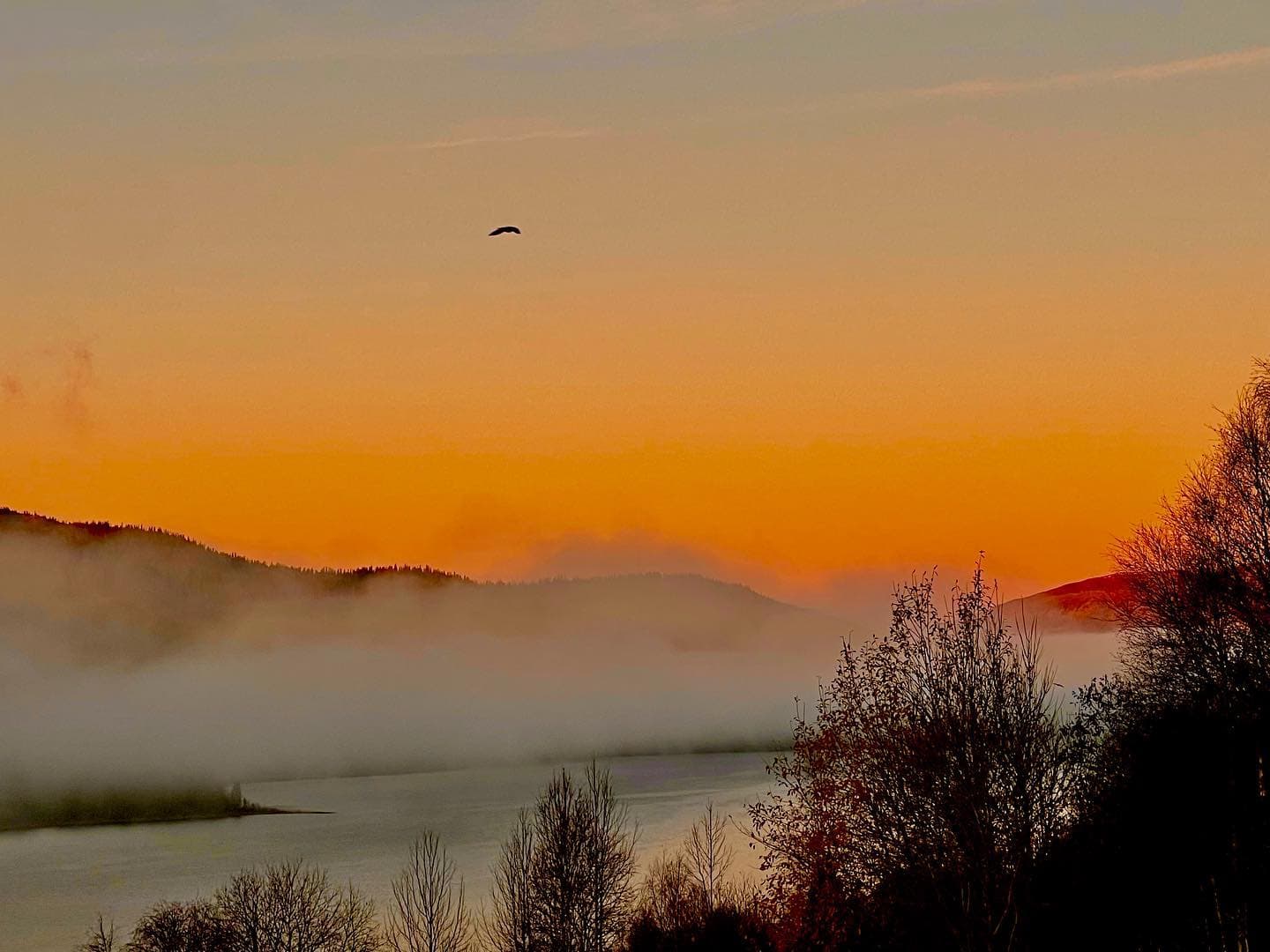 From a Greenscreen Studio to the Mountains of Åre